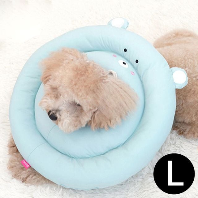 패리스독 뉴베프카라 블루 반려동물 곰 L