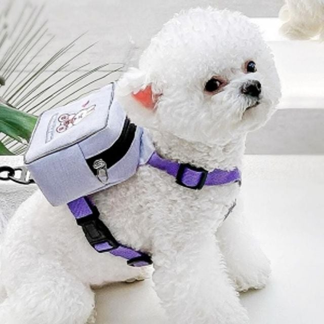 반려동물 백팩 하네스 + 리드줄 l 강아지 고양이 산책